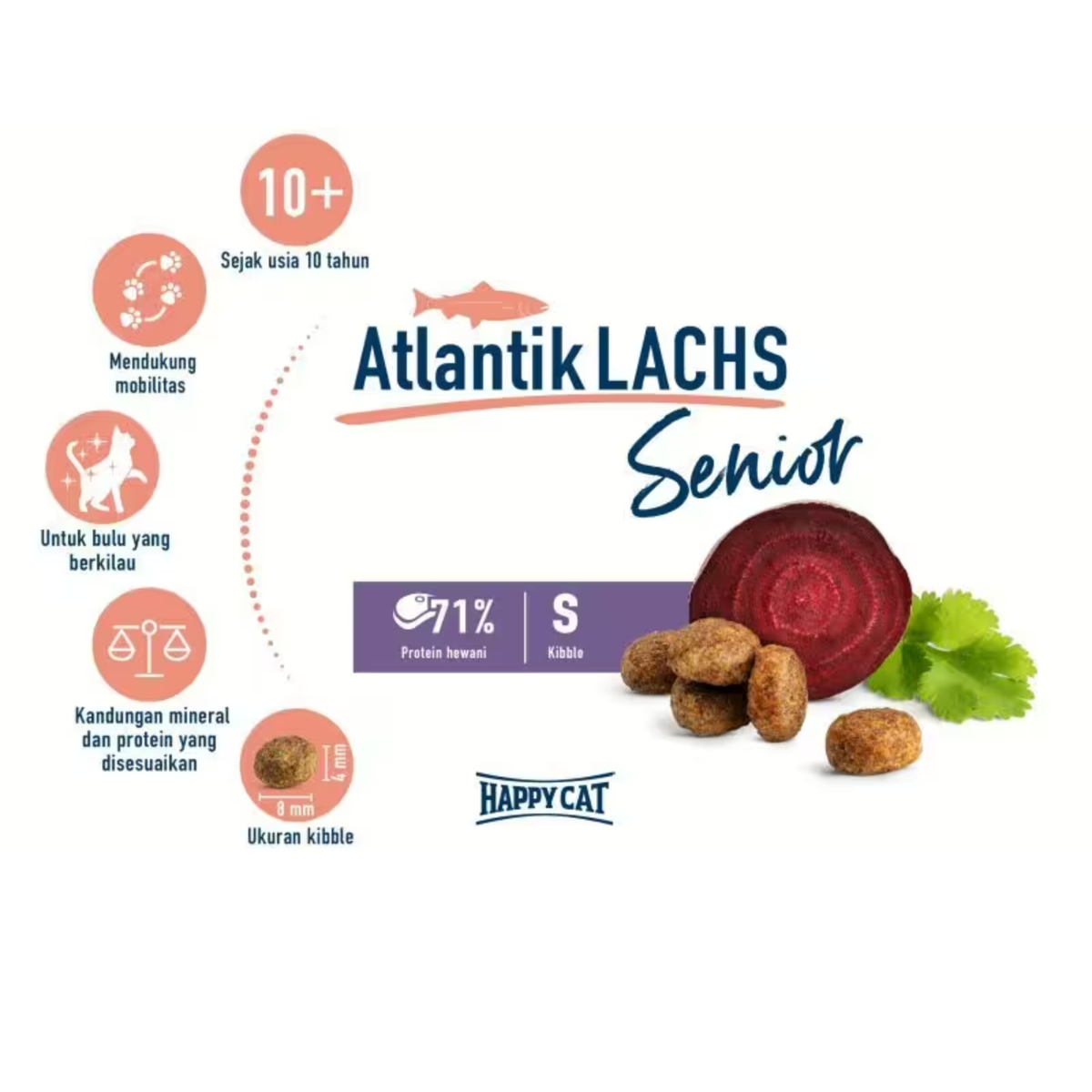 Senior Atlantic Salmon 1.3kg |+10th