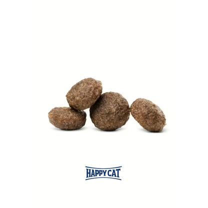 Cat Vet Intestinal [ Pencernaan Sensitif ] - 300gr
