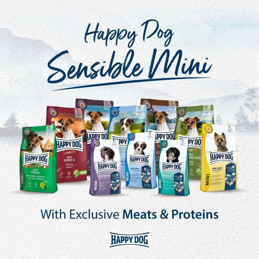 Sensible Mini India 4kg