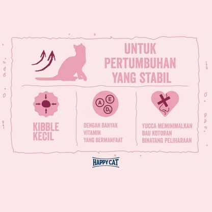 Kitten Starter Kit Super Premium