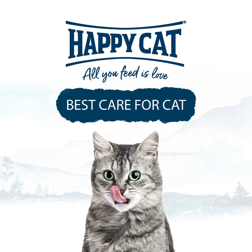 Gimmick Happy Cat - Mainan Kucing Stick Teaser