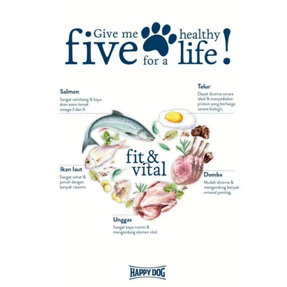 Fit Vital Mini Senior 4kg